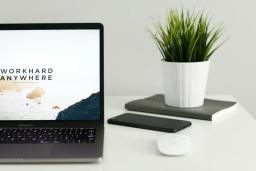Langkah Mudah Daftar Program Magang Luar Negeri Melalui Internship Knowledge